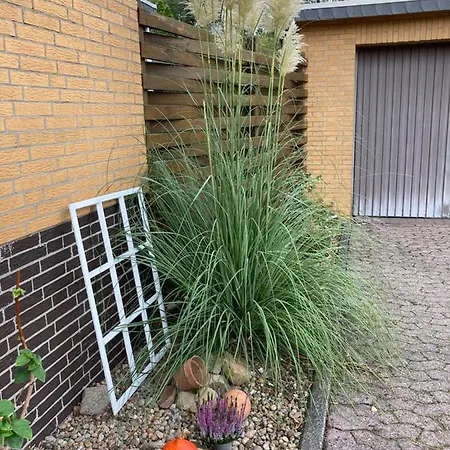 Schultze Apartmán