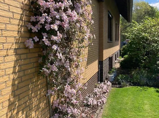 Schultze * 蒙斯特